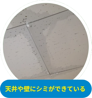 天井や壁にシミができている