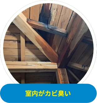 室内がカビ臭い