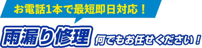 雨漏り修理何でもお任せください