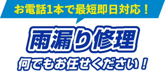 雨漏り修理何でもお任せください