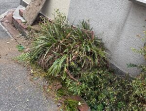 庭木を小分けにして撤去している作業風景