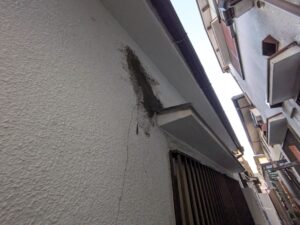 尼崎市 外壁クラック補修完了後