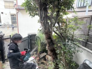 植木撤去前の庭木の状況