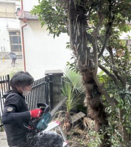 尼崎市で植木撤去作業を行う様子
