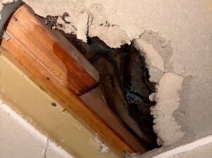 尼崎市で漏水修理工事後に1Fトイレの傷んだ天井を解体している様子