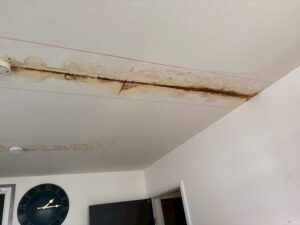 漏水修理後の復旧工事が必要な天井の水シミ
